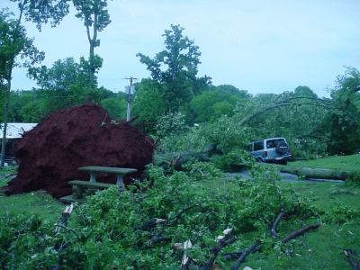 Vehicle damage at Bay Hill Marina.